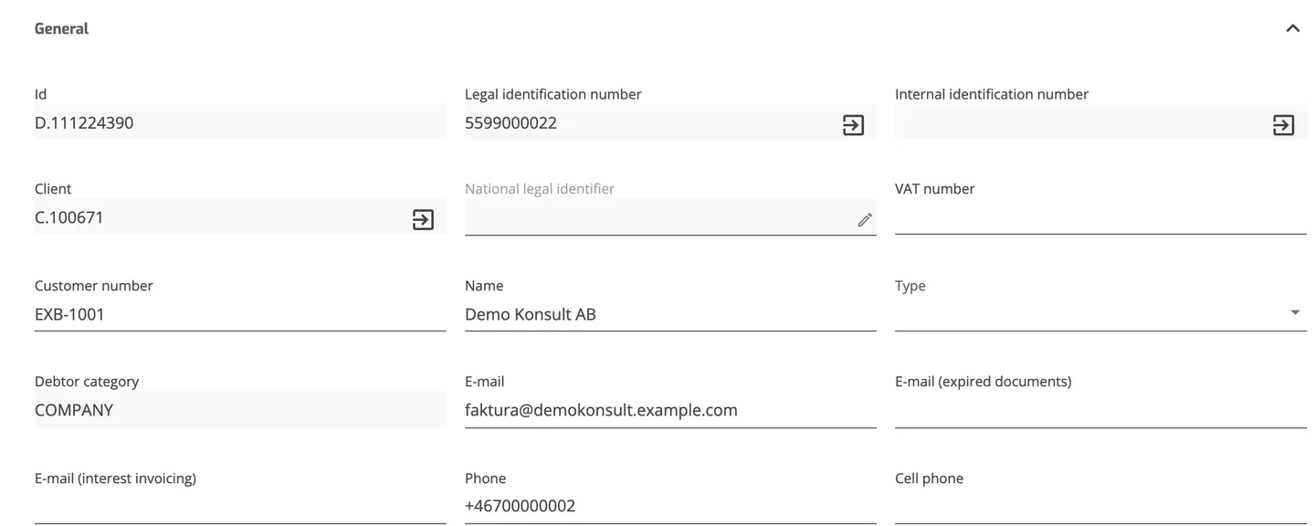 Operations Portal client debtor page, General section including the empty E-mail (interest invoicing) field.