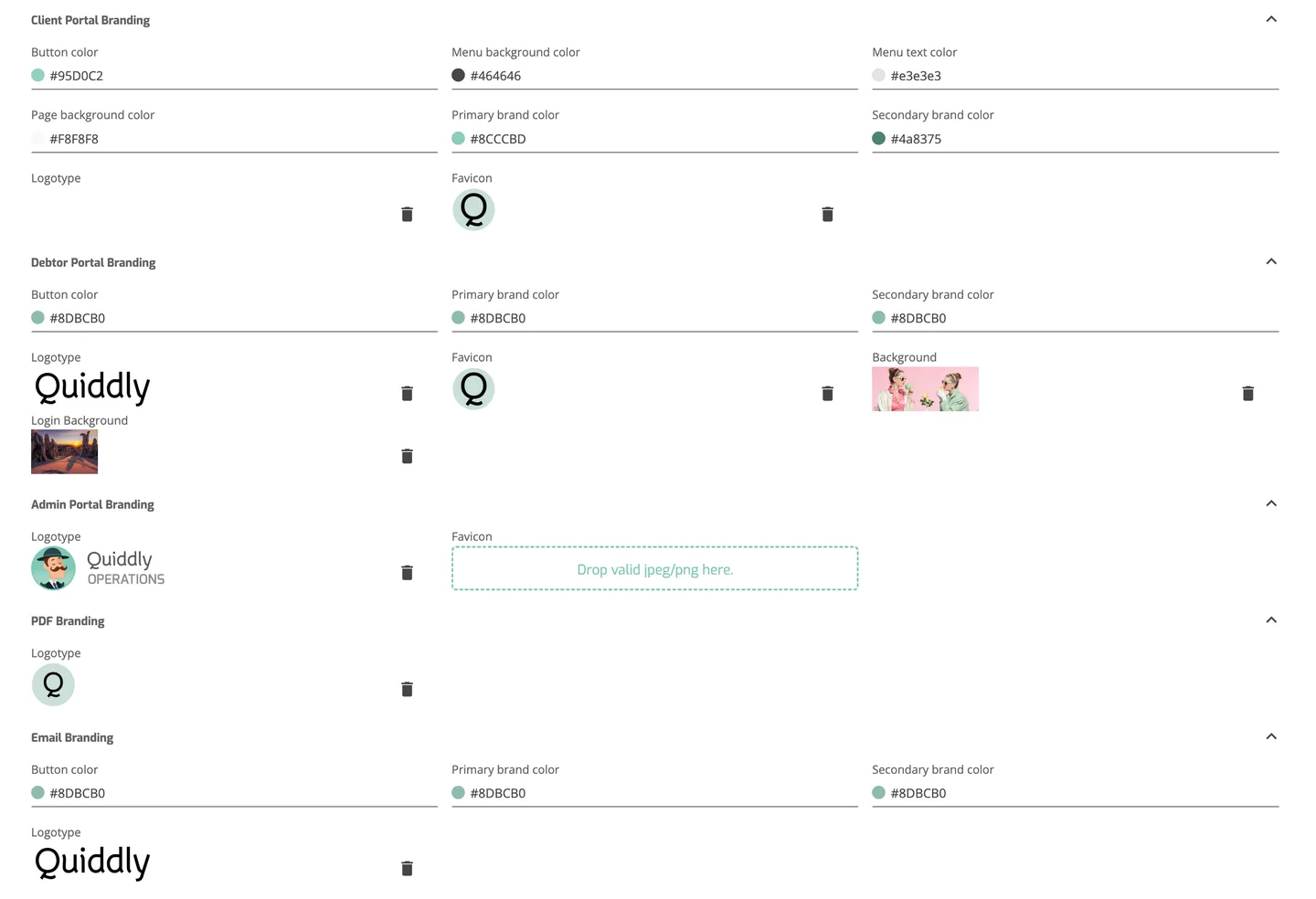 Setup Entities: Branding Settings