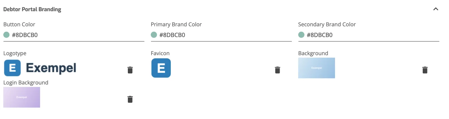 The Debtor Portal Branding section of the entity page with colour fields and Logotype, Favicon, Background and Login Background images.